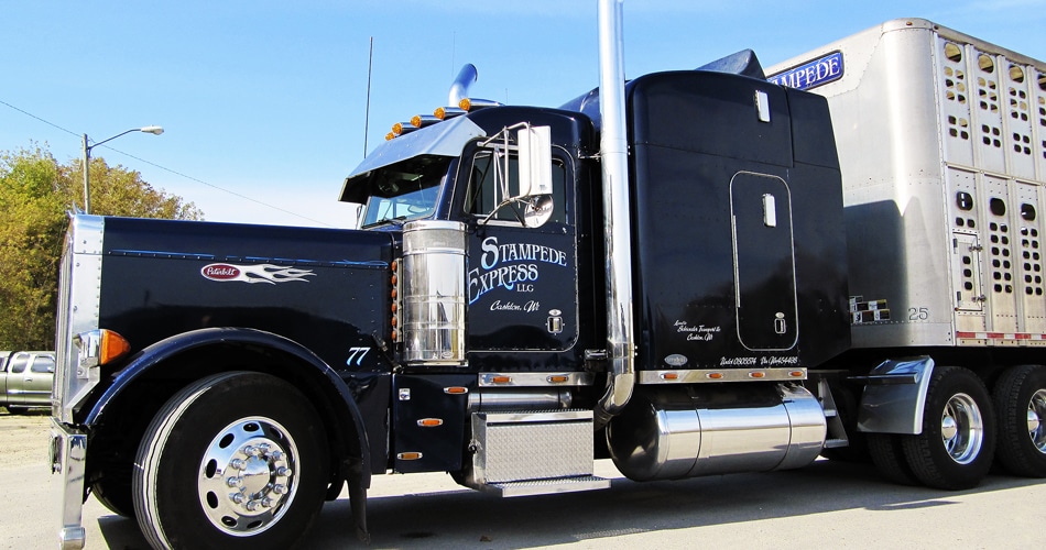 Peterbilt 379 semi truck lettering & graphics for Chris Schroeder Cashton, Wisconsin.